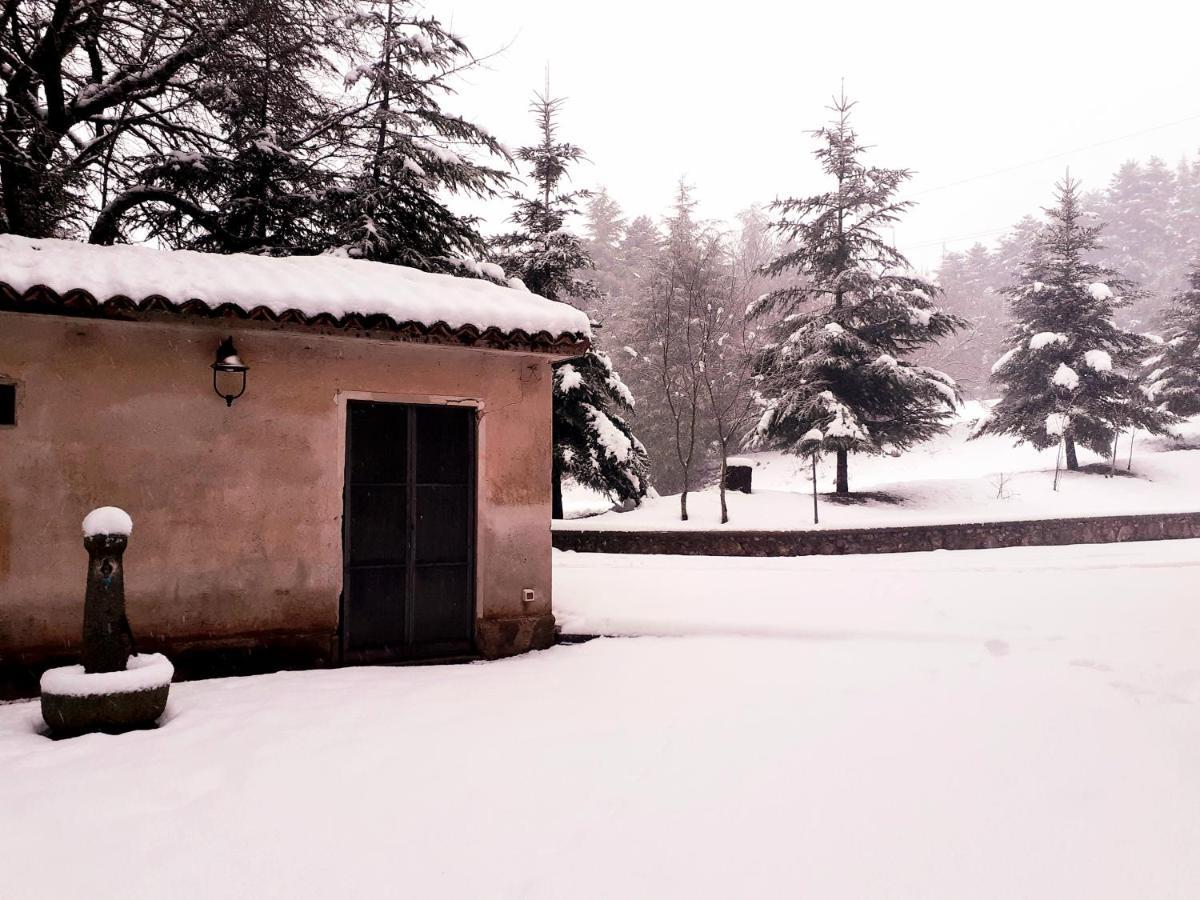 Casa Alegria Bed & Breakfast Morano Calabro Bagian luar foto