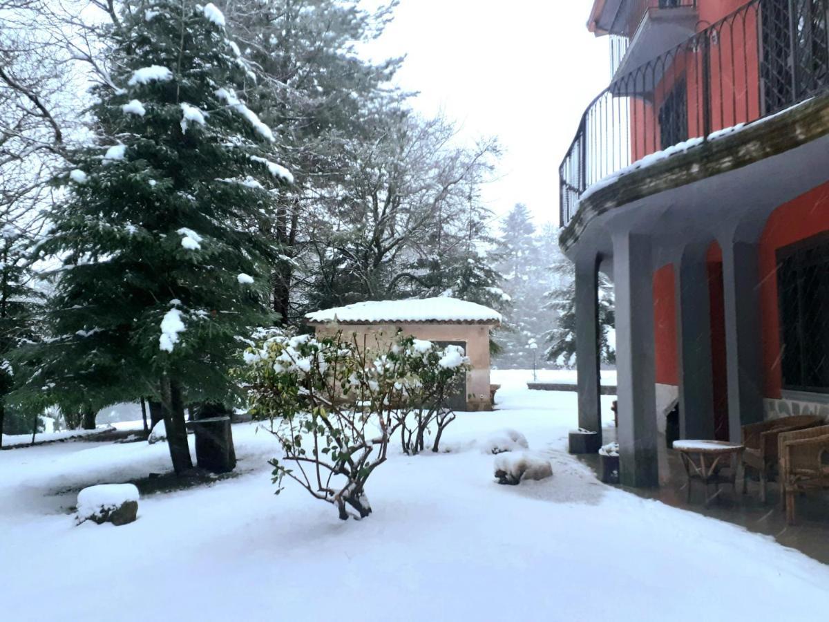 Casa Alegria Bed & Breakfast Morano Calabro Bagian luar foto